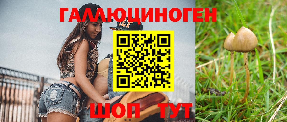 купить  цена  Псилоцибиновые грибы GOLDEN TEACHER  Вход с VPN  Ишим  Псилоцибиновые грибы мицелий 